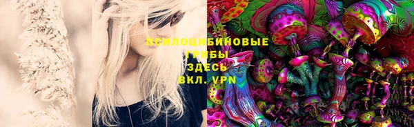 apvp Кинешма
